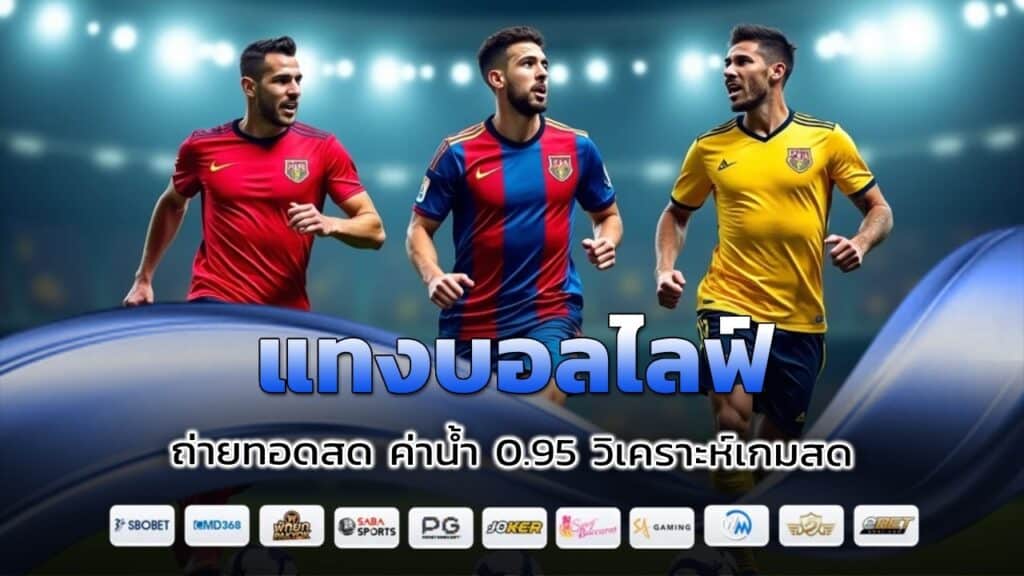 แทงบอลไลฟ์ ถ่ายทอดสด